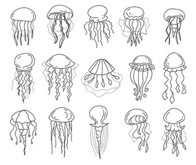 Jellyfish animal fish jelly ocean doodle outline isolated set. Vector graphic design element illustration