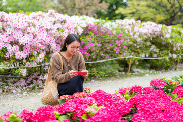 Canvas Print - Woman use cellphone to take photo on Hydrangea flower in park