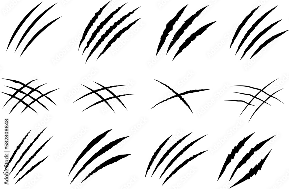 Black claw scratches. Bear tiger claws trails, animal scratched white ...