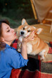 © bondvit - Happy young woman with Welsh Corgi Pembroke dog relaxing in glamping on summer day. Luxury camping tent for outdoor recreation and recreation. Lifestyle concept