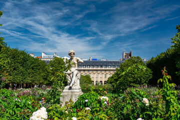 Wall Mural - Garden of the Palais Royal in Paris