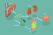 3D Isometric Flat Vector Conceptual Illustration of Liver Detoxification, Educational Labeled Description