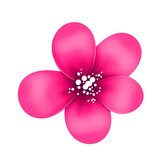 Fototapeta Storczyk - Pink flower with white core