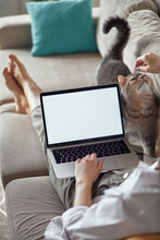 Mockup White Screen Laptop Woman Using Computer And Pet Cat Lying On Sofa At Home, Back View, Focus On Screen