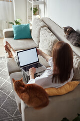 Wall Mural - Mockup white screen laptop woman using computer and two pet cat lying on sofa at home, back view, focus on screen