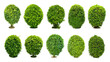 Trees, shrubs (bonsai), trimmed round shape For decorating the garden.
Collection of 10 trees. (png)	