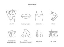 Epilation Zones Set Of Line Icons In Vector, Editable Stroke. Illustration Legs Shins And Thighs, Hands And Bikini Area, Face Lip Area And Armpits, Tendency To Ingrown Hairs