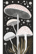 Mushrooms , botanical illustration	
