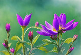 Fototapeta Tulipany - Spring flower purple colored generative ai