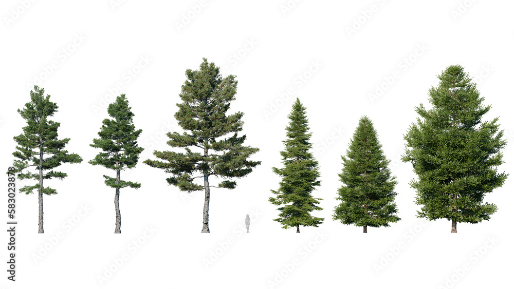 Many Tree Transparency Beautiful trees set transparency Stock Illustration | Adobe Stock