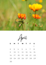 The Month Of April In The 2023 Calendar With A Flowers Photo. Author's Calendar For 2023 By Month