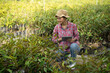 © Odua Images - An Asian female farmer uses a pad to collect data on the number of cultivated plants in her plantation.