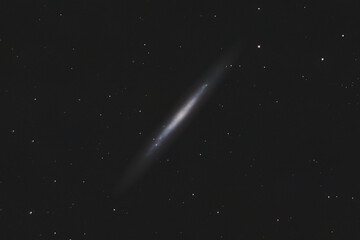 Wall Mural - Silver Needle Galaxy - NGC4244