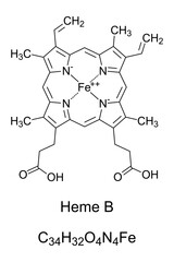 Heme B, haem B, or protoheme IX, chemical formula and structure. Contained in hemoglobin, a protein for oxygen transport. A single iron atom is bound by four nitrogen atoms in a plane porphyrin ring.