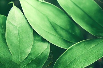 Poster - Tropical leaf green exotic jungle nature abstract background. Botanical wallpaper with rainforest surface full frame flower, banana or fern verdant leaves pattern., created with generative ai