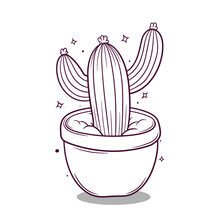 Hand Drawn Cactus Vector Illustration
