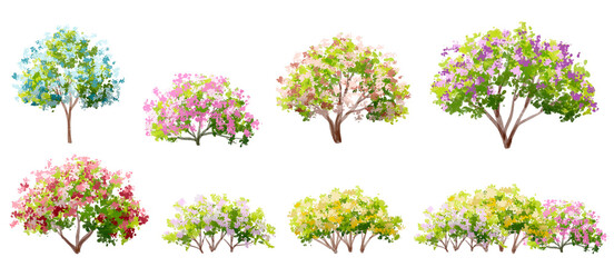 vector watercolor blooming flower tree side view isolated on white background for landscape and arch