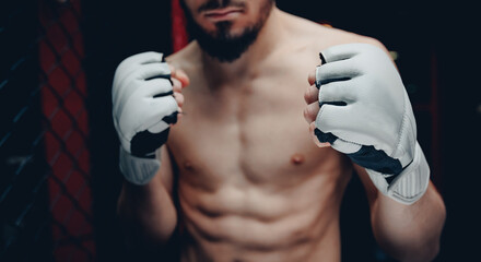 Wall Mural - Sport MMA banner. Boxers fighter in ring octagon, dark background spot light