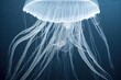 Giant jellyfish, huge illuminated medusa floating in ocean space depth artistic artwork. Fantasy magic underwater wildlife abstract background., created with generative ai