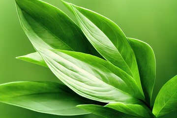 Wall Mural - Green plant leaves extreme close up background 3D render digital illustration., created with generative ai