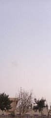 Wall Mural - sky and clouds