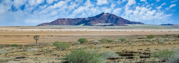 Sticker - A quiver see in Namibia