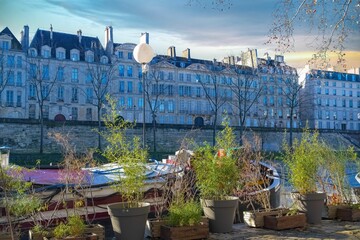 Canvas Print - Paris, ile saint-louis and quai de Bourbon
