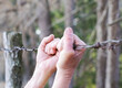 barbed wire hinders freedom
