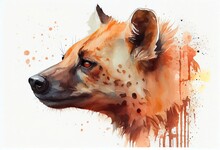 Watercolor Illustration Of A Hyena Head, Animal, Illustration Isolated On A White Background. Generative AI