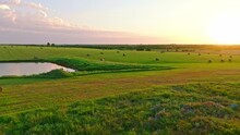 Aerial View Of The Wide Farm Trees With Pond