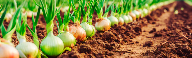 Sticker - Onions growing in the garden field. Generative AI,