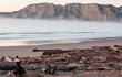 Leinwandbild Motiv New Zealand coast