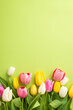 Women's Day concept. Top view vertical photo of a lot of spring flowers pink yellow and white tulips on isolated light green background with copyspace