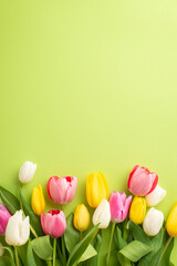 Wall Mural - Women's Day concept. Top view vertical photo of a lot of spring flowers pink yellow and white tulips on isolated light green background with copyspace