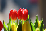 Fototapeta Tulipany - Bukiet czerwonych tulipany w szklanym wazonie.