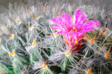 Wall Mural - a lone pink flower is blooming on this cactus on our windowsill in windsor in upstate ny. flower sur