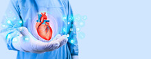 Heart Attack, Human Heart Isolated On Light Background. Cardiology And Medical Care For Heart Problems. Heart Disease Digital Medicine Modern Digital Health. Chf Cardiomyopathy, Myocarditis, Arrhythmi