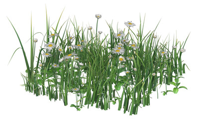 Sticker - Bunch of tiny white flowers and grass in clusters	
