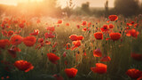 Fototapeta Panele - Beautiful landscape with red poppies in the golden hour, Generative AI