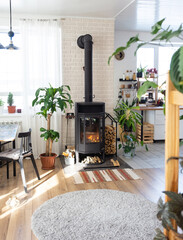 Black Metal Steel fireplace stove with fire and firewood in green home with indoor plant in flower pot in village house. Cozy home hearth in interior with potted plants