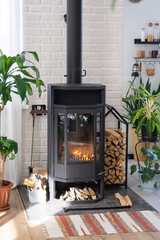 Black Metal Steel fireplace stove with fire and firewood in green home with indoor plant in flower pot in village house. Cozy home hearth in interior with potted plants