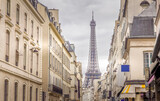 Fototapeta Paryż - Paris and the Eiffel Tower, France