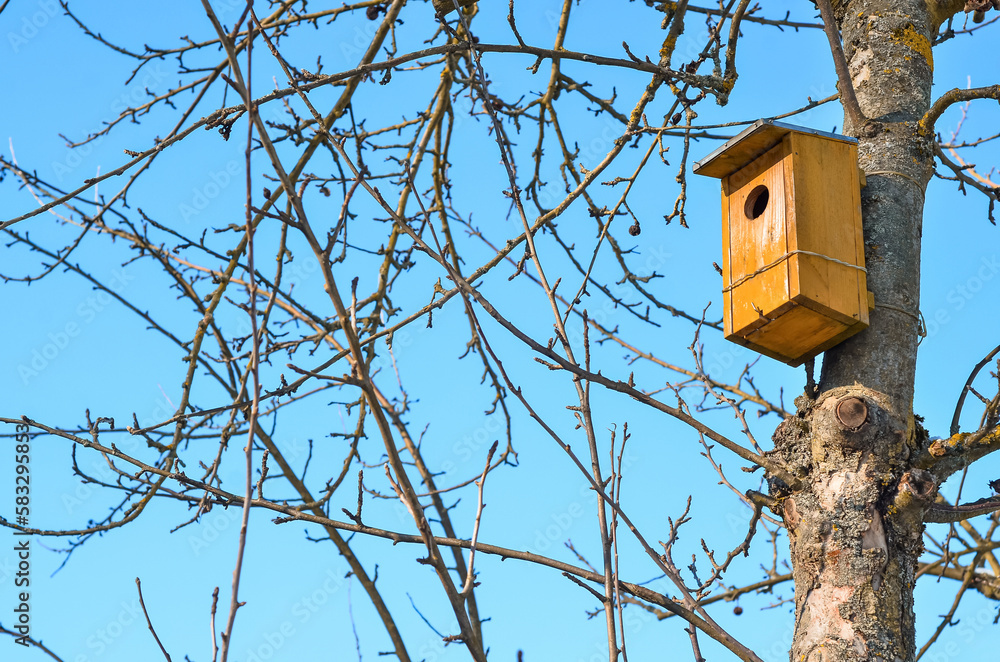 View of wooden bird house on tree