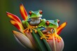 Two red-eyed tree frogs sitting on a heliconia, generative ai