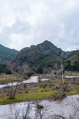 Wall Mural - Malibu Creek State Park muddy after a large rainfall in southern California. Streams overflowing, lush green grass, large oak trees, clouds, dam rushing, water flowing.