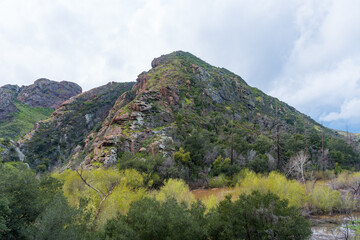 Wall Mural - Malibu Creek State Park muddy after a large rainfall in southern California. Streams overflowing, lush green grass, large oak trees, clouds, dam rushing, water flowing.