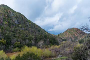 Wall Mural - Malibu Creek State Park muddy after a large rainfall in southern California. Streams overflowing, lush green grass, large oak trees, clouds, dam rushing, water flowing.