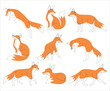Fox in line art and abstract icon set. Collection of Fox wall art decoration design. Abstract and minimalist outline fox icon set. Continuous one line drawing of a fox collection. Vector illustration