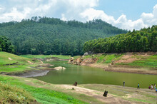 A Rivulet On Munnar Hills