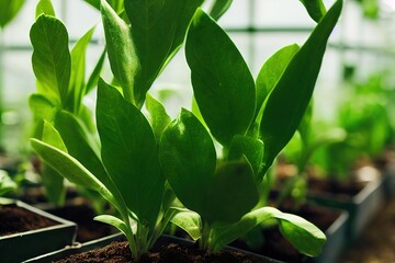 Wall Mural - A fresh sprouts in a pot macro shot, young green leaves., created with generative ai